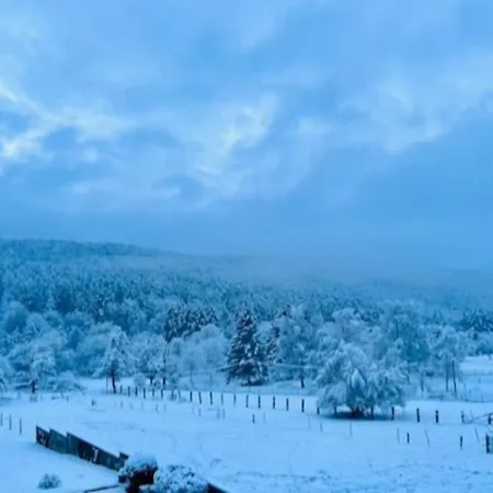 Апартаменты La Rose Des Vents - Avec Terrasse, Piscine Et Parking *