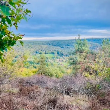 La Rose Des Vents - Avec Terrasse, Piscine Et Parking * Lautenbach