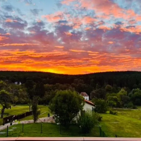 La Rose Des Vents - Avec Terrasse, Piscine Et Parking Lautenbach